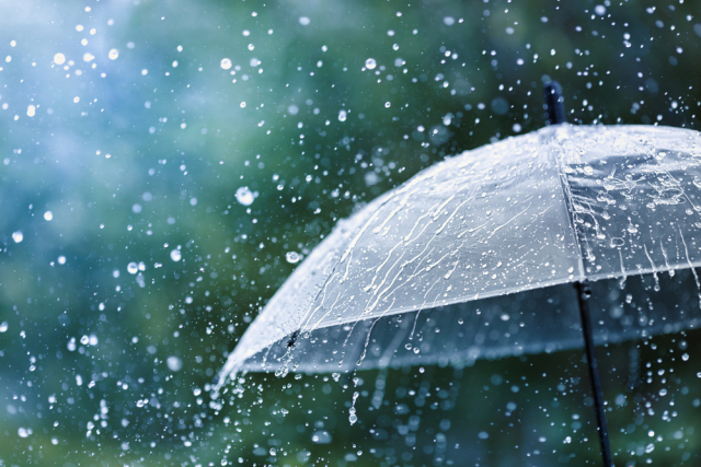 GISMETEO: Грозы, сильные ливни и шквалы: жителей Беларуси предупреждают о непогоде 24-25 июля