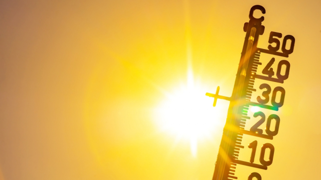 GISMETEO      